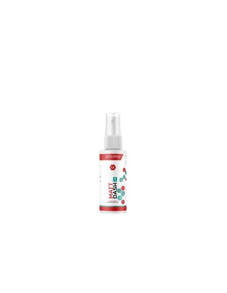 Matte Plastic Surface Protection C6 Matte Dash Antibacterial Gtechniq 100ml