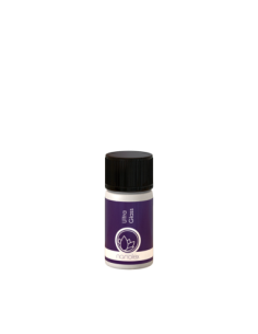 Nanolex Ultra Glass Sealant – Hidrofób Kezelés Ablakokhoz...