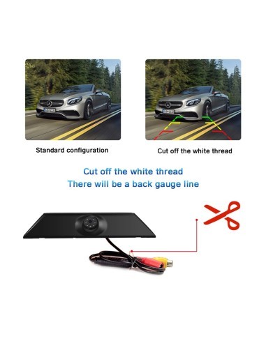Dedicated rearview camera for Iveco Daily (2011...
