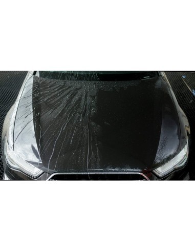 Easy Coat Gtechniq Auto Sealant 500ml