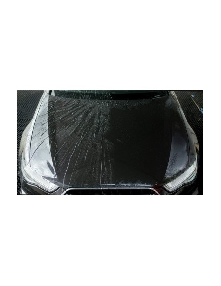 Easy Coat Gtechniq Auto Sealant 500ml