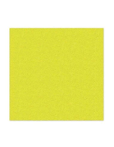 Set of 30 K2 Hiro Pro Microfiber Cloths, 30x30cm