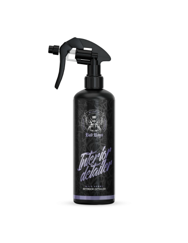 Λύση Συντήρησης Εσωτερικού BadBoys Interior...