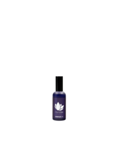 Αρωματικό αυτοκινήτου Nanolex Carfum No.1, 100ml 2