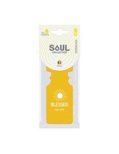 Fenyőfa típusú autóillatosító, Soul, DeoMaxx, Blessed aroma