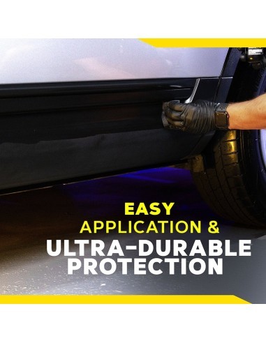 Meguiar's Heavy Duty Trim Restoration Kit