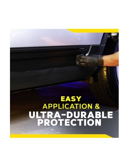 Meguiar's Heavy Duty Trim Restoration Kit