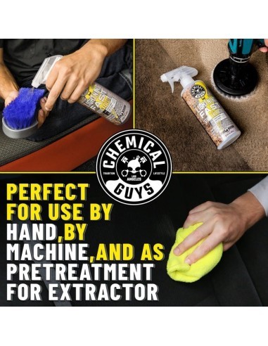 ChemicalGuys Lightning Fast Stain Extractor for...