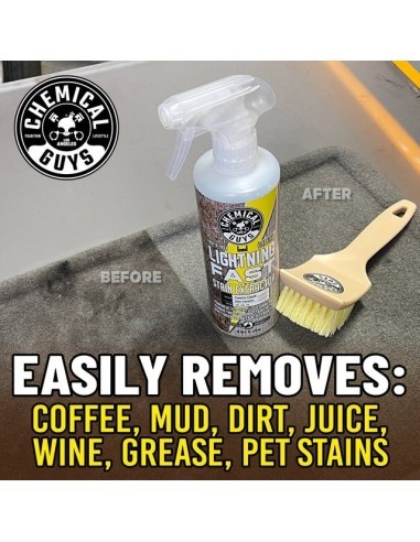 ChemicalGuys Lightning Fast Stain Extractor for...