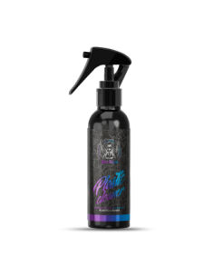 Interior Plastic Cleaning Solution BadBoys Plastic...
