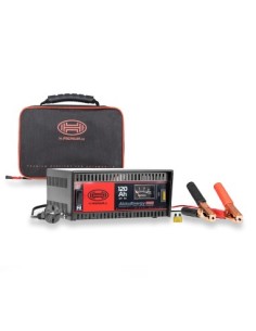 Akkuenergy Pro 300 11A 12V Charger