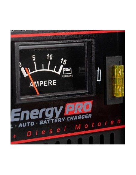 Akkuenergy Pro 300 11A 12V Charger
