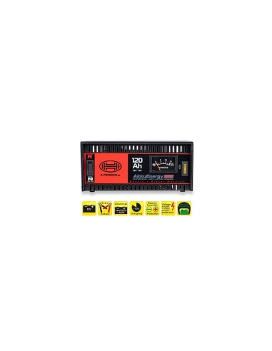 Akkuenergy Pro 300 11A 12V Charger