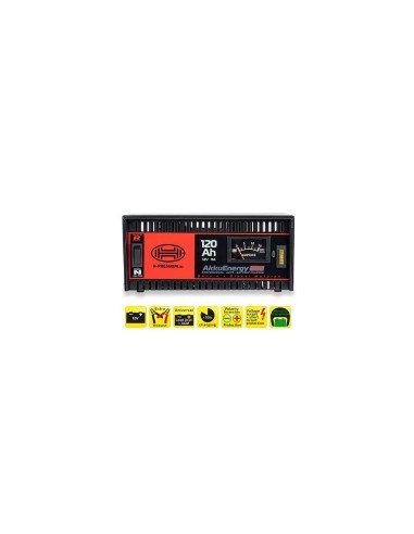 Akkuenergy Pro 300 11A 12V Charger
