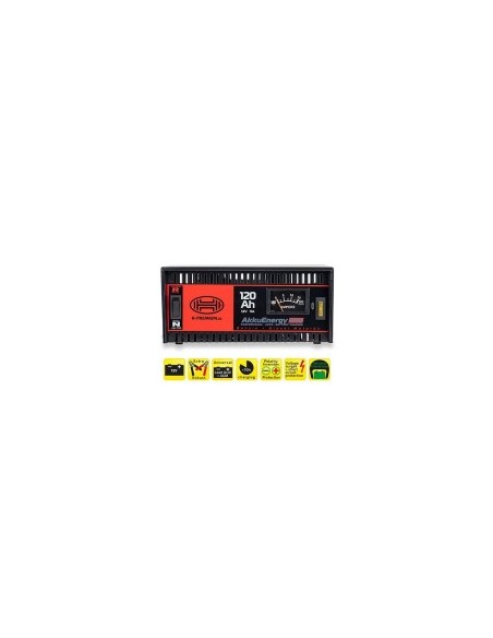 Akkuenergy Pro 300 11A 12V Charger