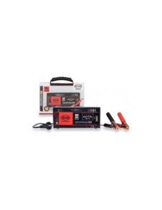 Akkuenergy Pro 300 8A 12v töltő