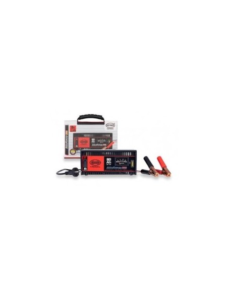 Akkuenergy Pro 300 8A 12v Charger