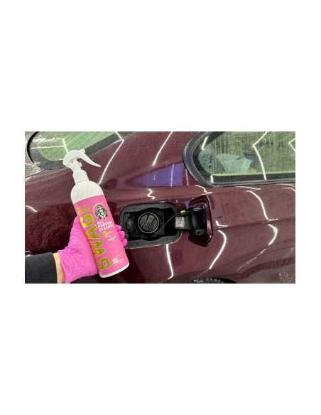 Καθαριστικό Υγρού για Γυναίκες SWAG LADY APC RTU 500ml