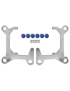 Set of 2 adapter frames for replacing the lenses on Skoda...