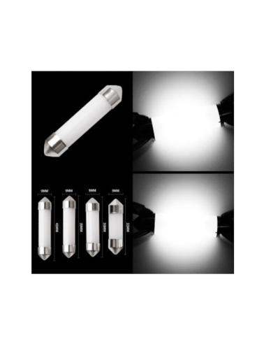 White C5w COB LED Car Light 31 mm