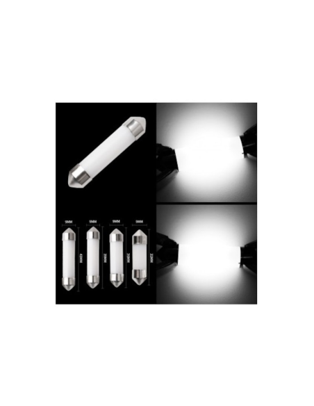 White C5w COB LED Car Light 31 mm