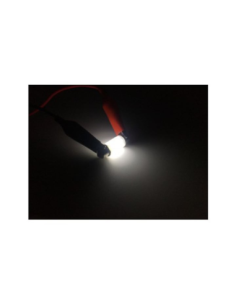 Auto LED Sofit 36mm Canbus 8 SMD 5630 12/24V, 360-degree... 2