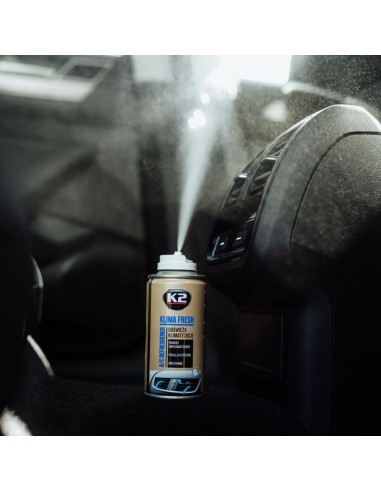 Air Conditioner Cleaning Solution Blackcurrant,...
