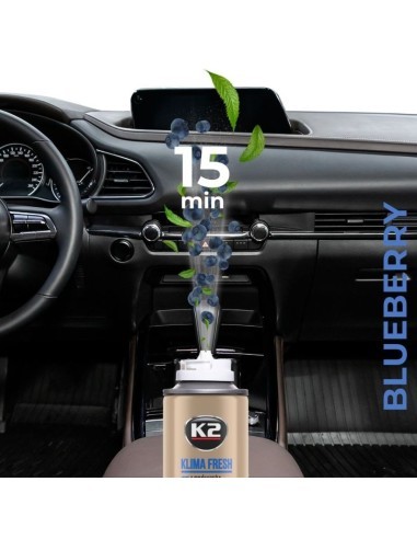 Air Conditioner Cleaning Solution Blackcurrant,...