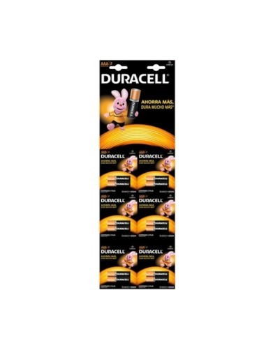 Duracell R3 Basic batteries, AAA2 X6HBDC...
