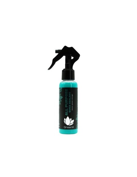 Sealant Auto Lichid GreenX Quick Sealant, 100ml