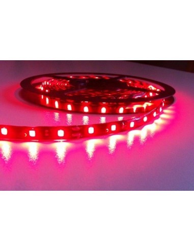 Red LED strip 60 LEDs/m, 12V, water-resistant,...