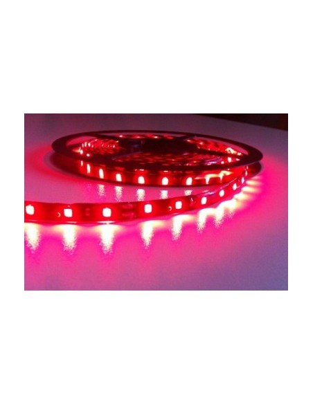 Red LED strip 60 LEDs/m, 12V, water-resistant, on a 5-meter roll