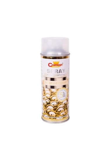 Professional Chrome Gold Spray Paint, Champion...