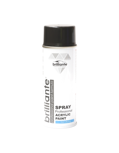 Gray Black Spray Paint (RAL 7021) 400 ml