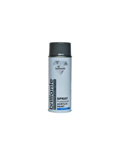 Dark Grey Spray Paint RAL 7037, 400ml