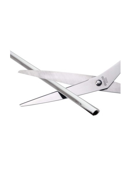 Car door protective strip, Chrome 2 x 65 cm