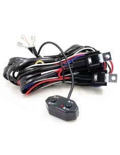 Wiring with button and relay for separate control of two...