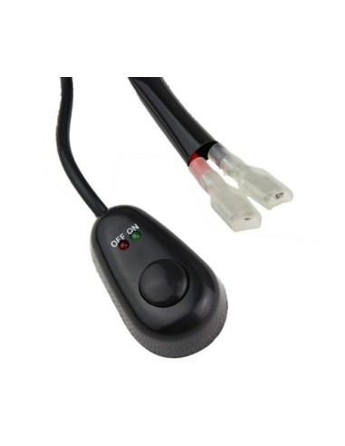Wiring with Button and Relay for 2 LED...