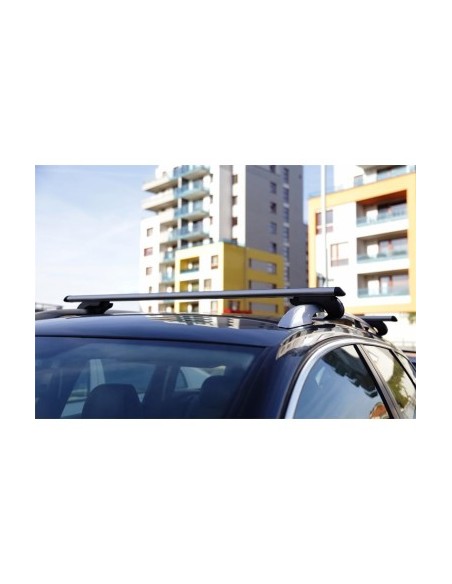 Aluminum transverse bar set pro