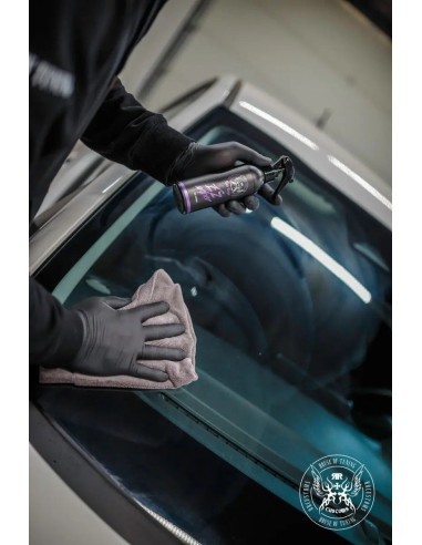 Hydrophobic Treatment for Windows BadBoys Ez...