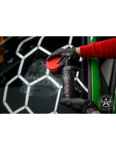 Hydrophobic Treatment for Windows BadBoys Ez...
