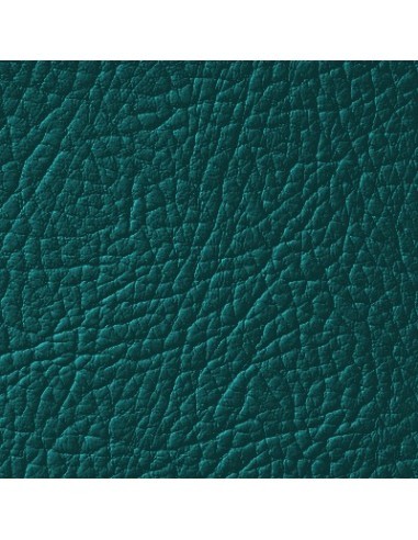 Vopsea piele Verde Noapte LEATHER EXPERT...