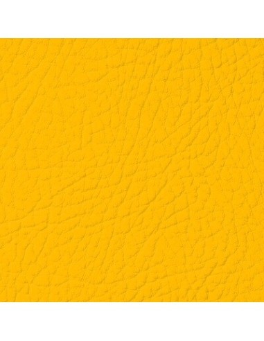 Golden Yellow Leather Paint LEATHER EXPERT...
