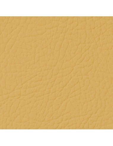 Mustard Leather Paint LEATHER EXPERT Leather...