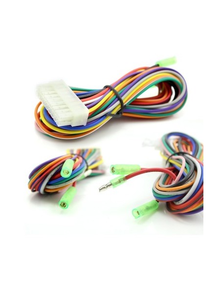 CARGUARD Automatic Window Lifting Module