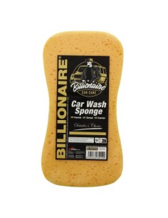 Billionaire Car Wash Sponge