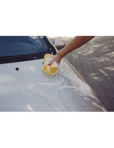 Billionaire Car Wash Sponge