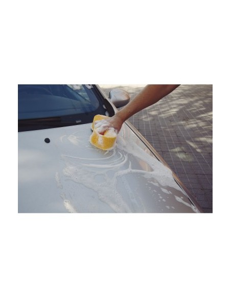 Billionaire Car Wash Sponge