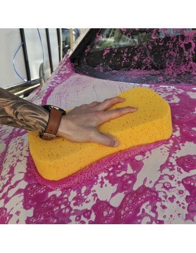Billionaire Car Wash Sponge