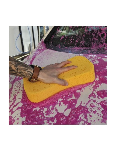 Billionaire Car Wash Sponge